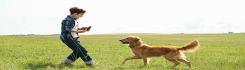 A Dog's Purpose